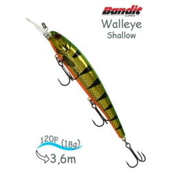 BDTWBS1 D90 Walleye Shallow - фото