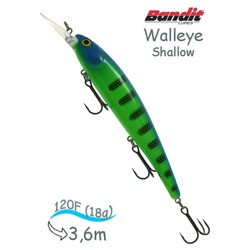 BDTWBS1 B42 Walleye Shallow - фото
