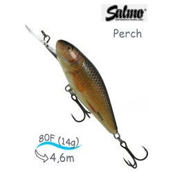 QPH005 Perch PH-080DR-RER - фото