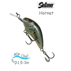 QHT032 Hornet HT-040-FL-RDE - фото