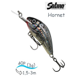 QHT031 Hornet HT-040-FL-HGS - фото