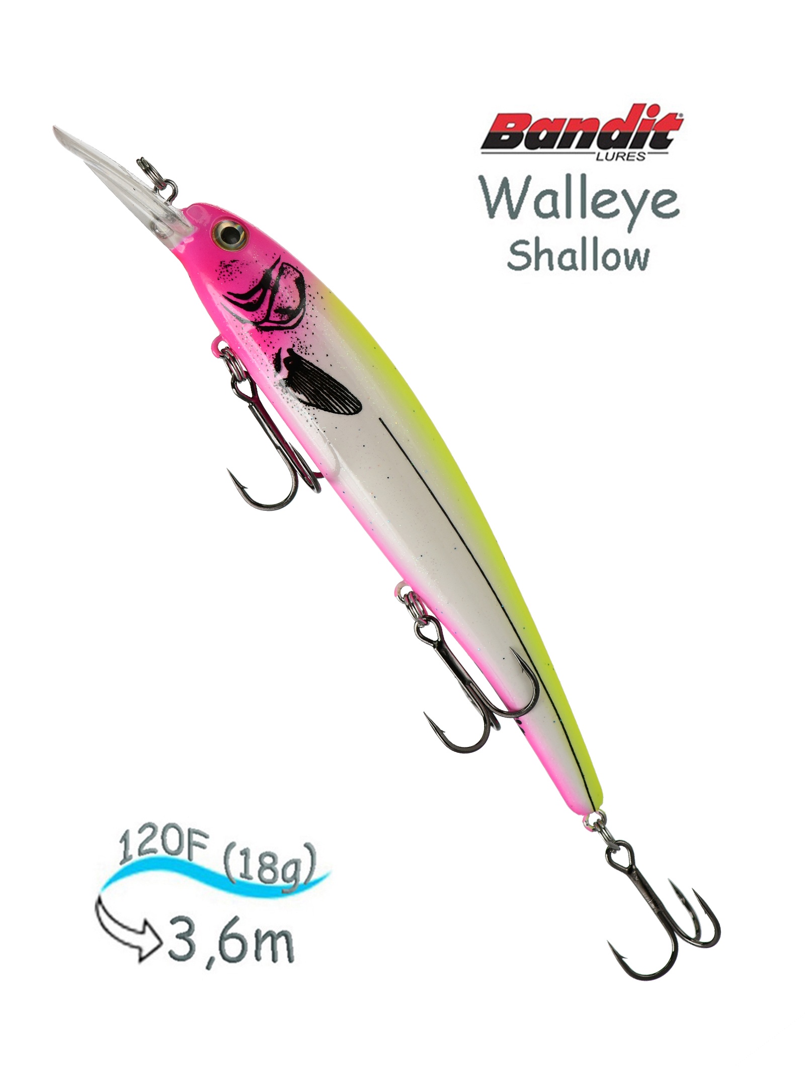 BDTWBS 102 Walleye Shallow