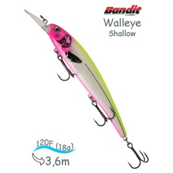 BDTWBS 102 Walleye Shallow - фото