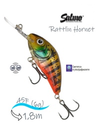 QRH541 Rattlin Hornet RH-045-FL-CBG - фото
