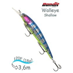 BDTWBS1 D91 Walleye Shallow - фото