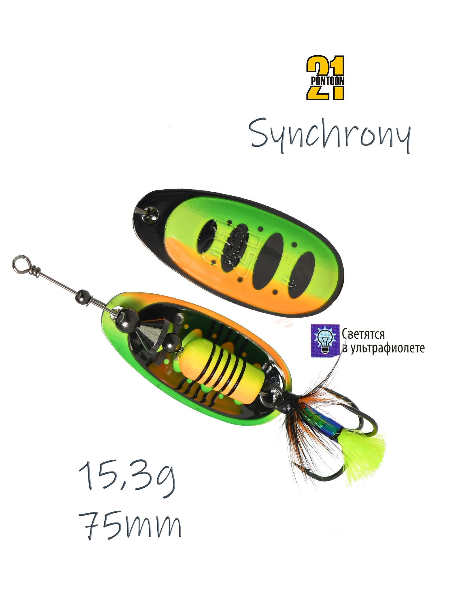 Synchrony 4-T21-FT2