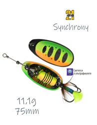 Synchrony 3,5-T21-FT2 - фото