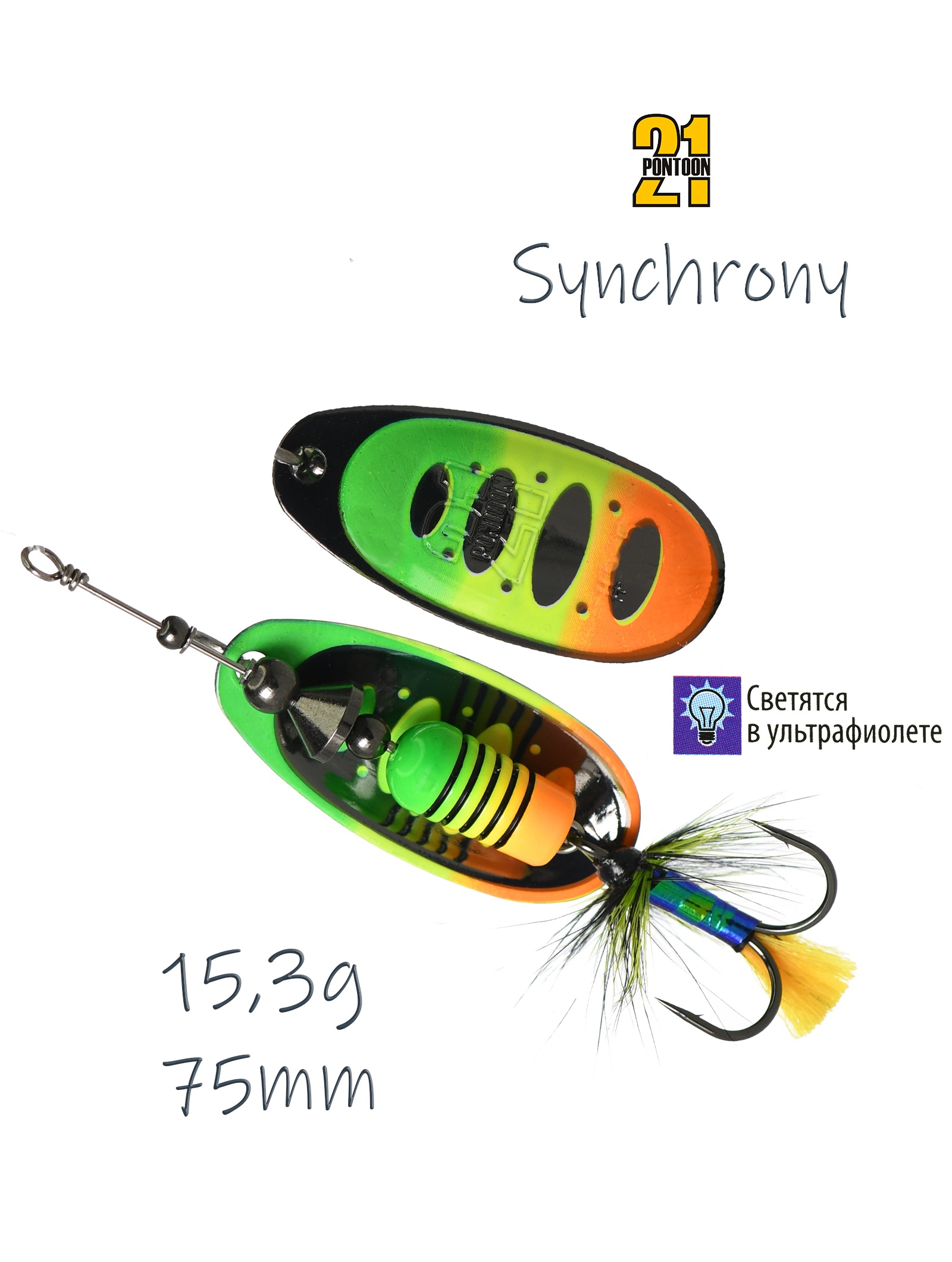 Synchrony 4-T21-FT1