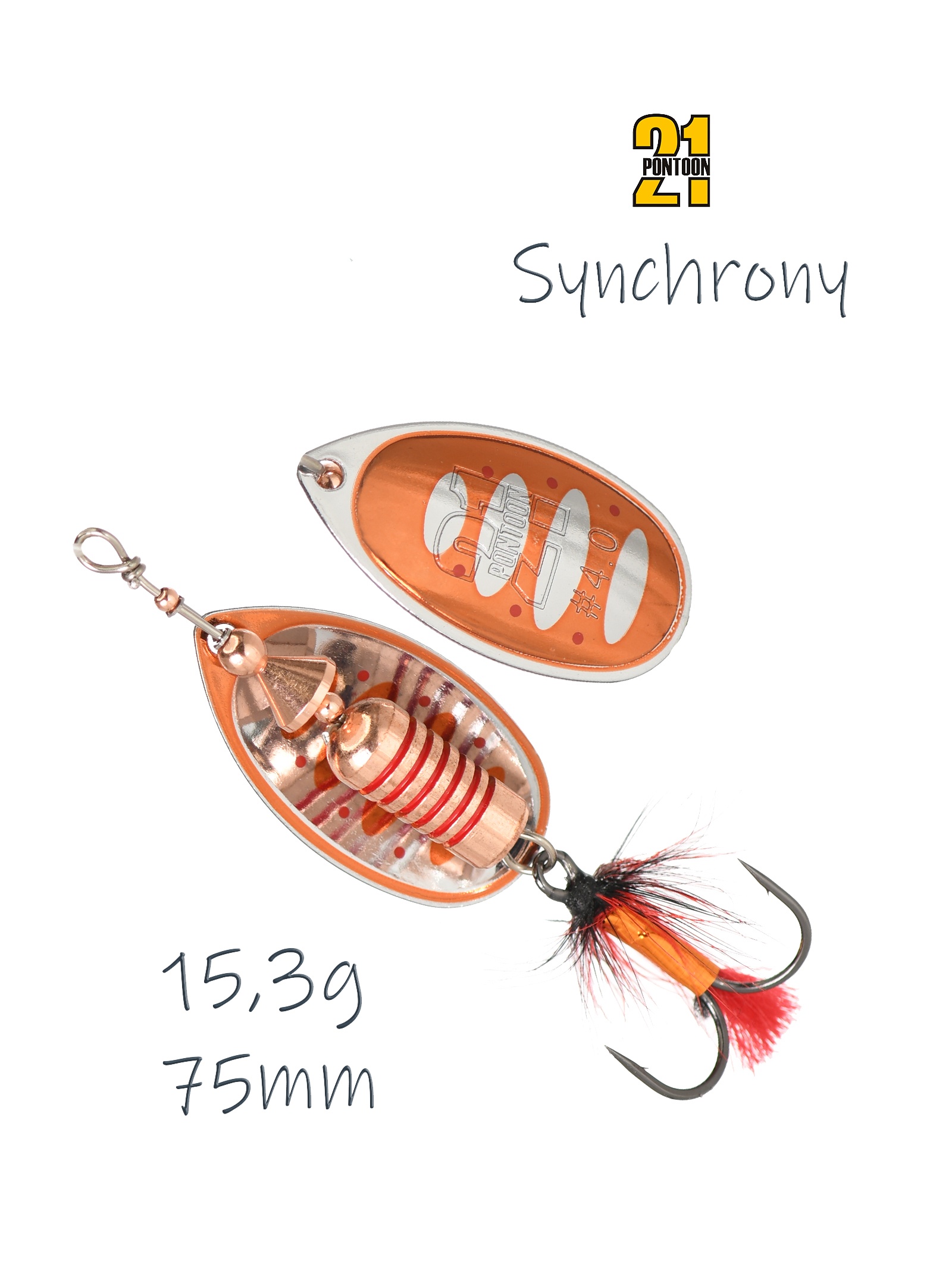 Synchrony 4-C02-003