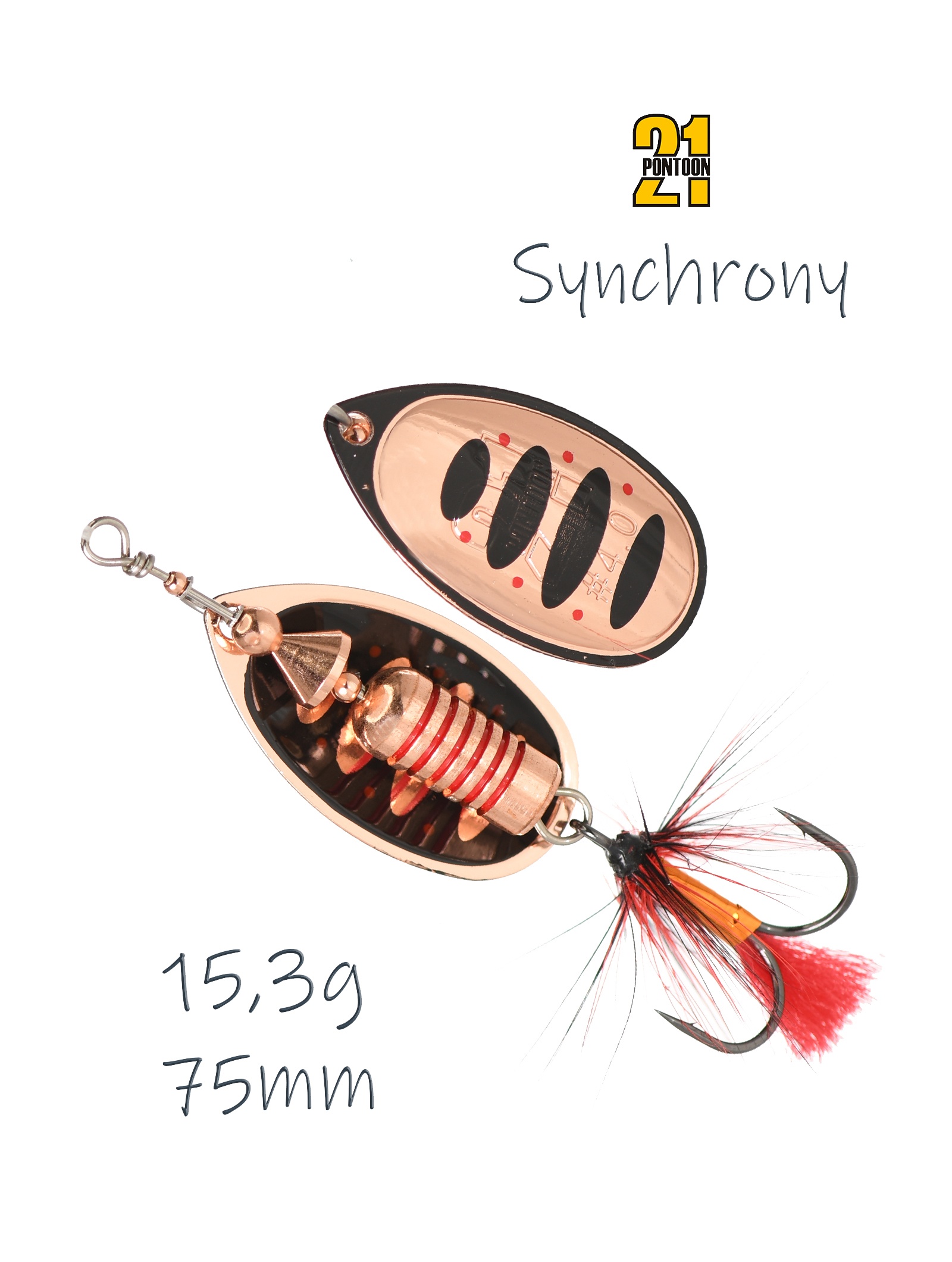 Synchrony 4-C04-003