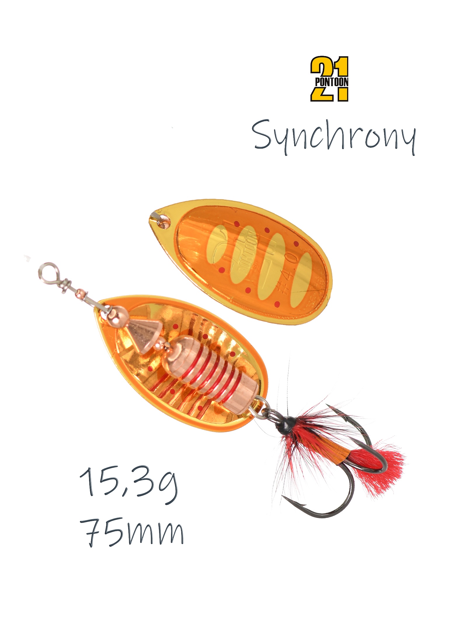 Synchrony 4-C01-003