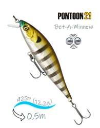 Bet-A-Minnow 92 SP-SR-007 - фото