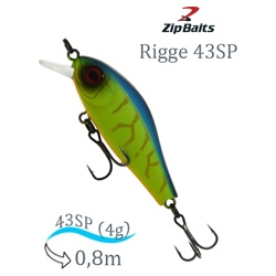 Rigge 43 SP 2002 - фото