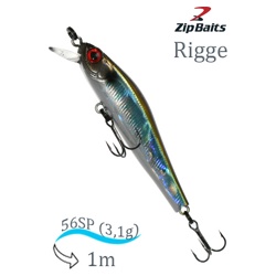 Rigge 56 SP-299 - фото