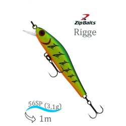 Rigge 56 SP-100M - фото