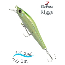 Rigge 56 F-317 - фото