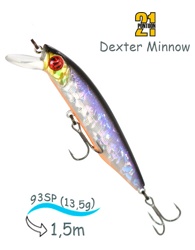 Dexter Minnow 93 SP-SR-A12 - фото