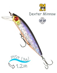Dexter Minnow 71 SP-SR-A12 - фото