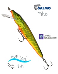 QPE011 Pike PE-090FL HPE- фото