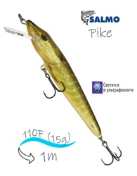 QPE010 Pike PE-110FL-RPE- фото