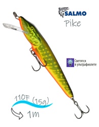 QPE009 Pike PE-110FL-HPE - фото