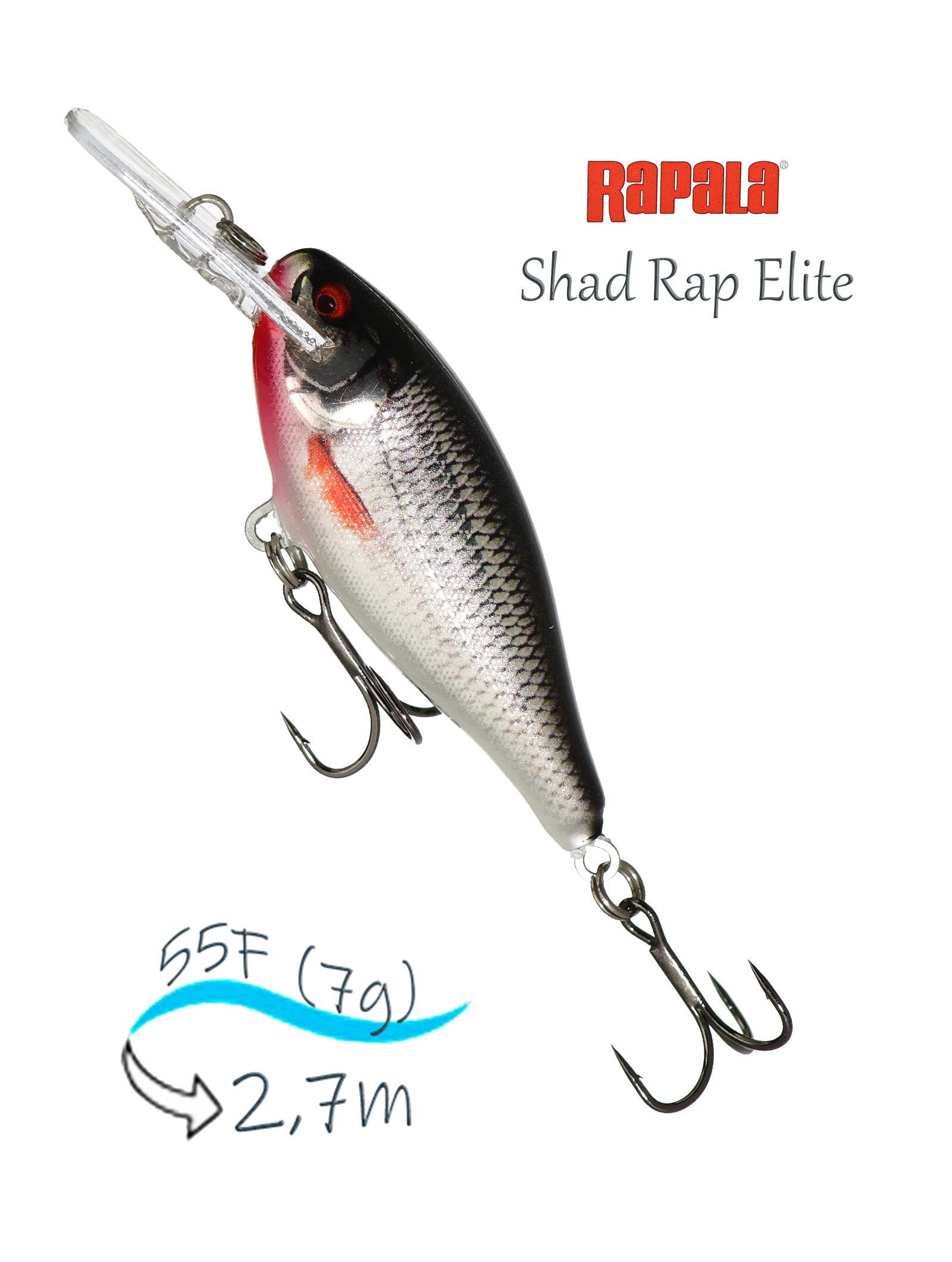 SRE55 GDROL Shad Rap Elite