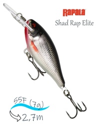 SRE55 GDROL Shad Rap Elite - фото