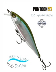 Bet-A-Minnow 92 F-SR-012 - фото