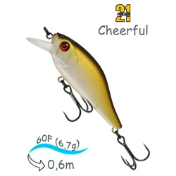 Cheerful 60F-SR 317 - фото