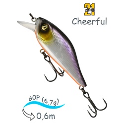 Cheerful 60F-SR A11 - фото
