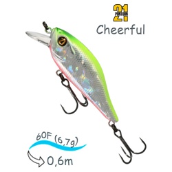 Cheerful 60F-SR A62 - фото