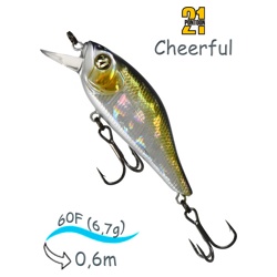 Cheerful 60F-SR R30 - фото
