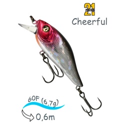Cheerful 60F-SR A16 - фото