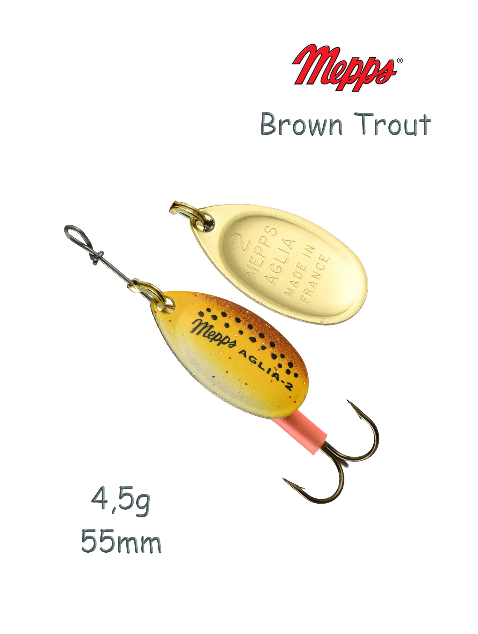 Aglia Brown Trout 2