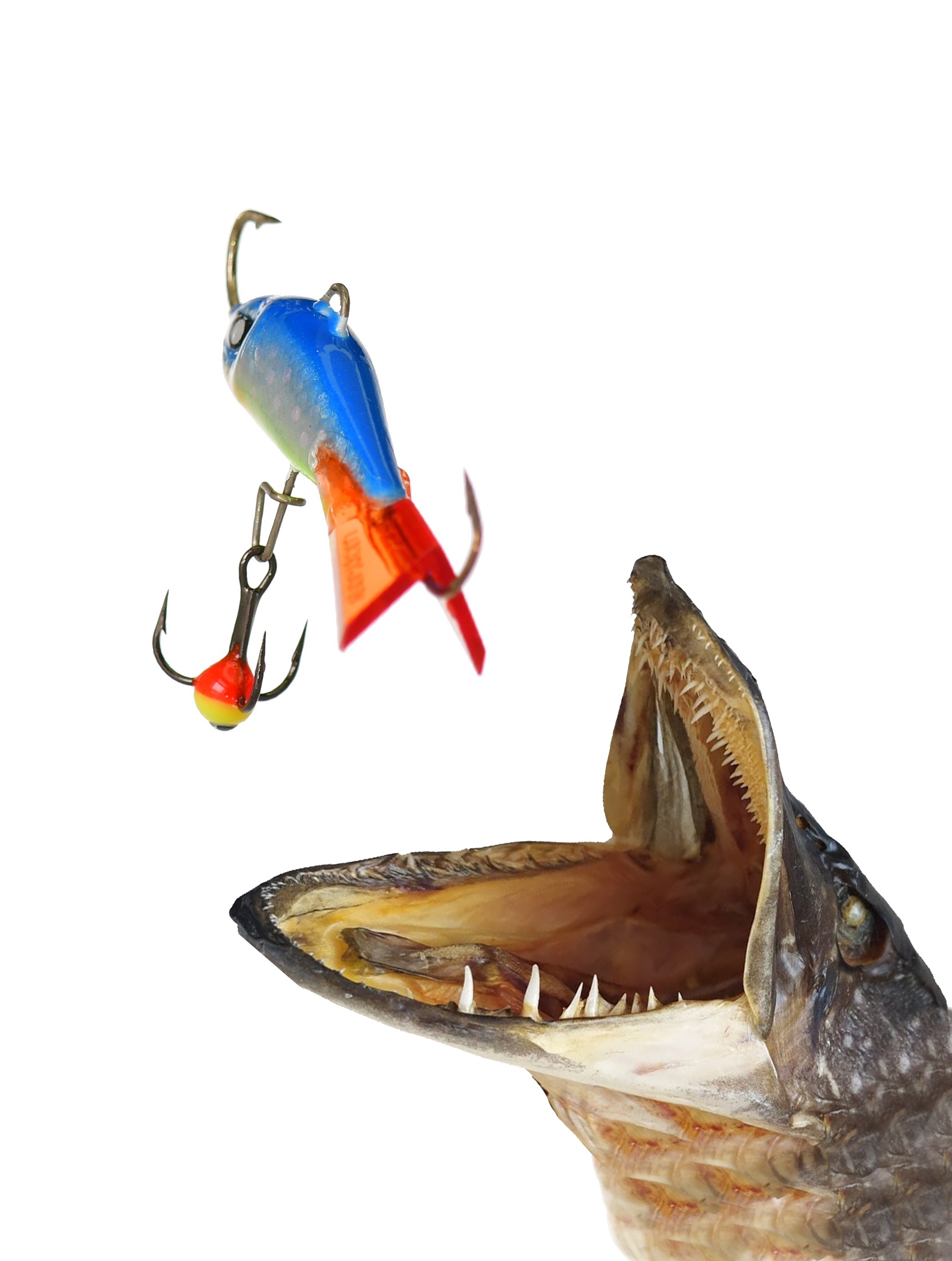 Baltic 3-065HRT - фото3