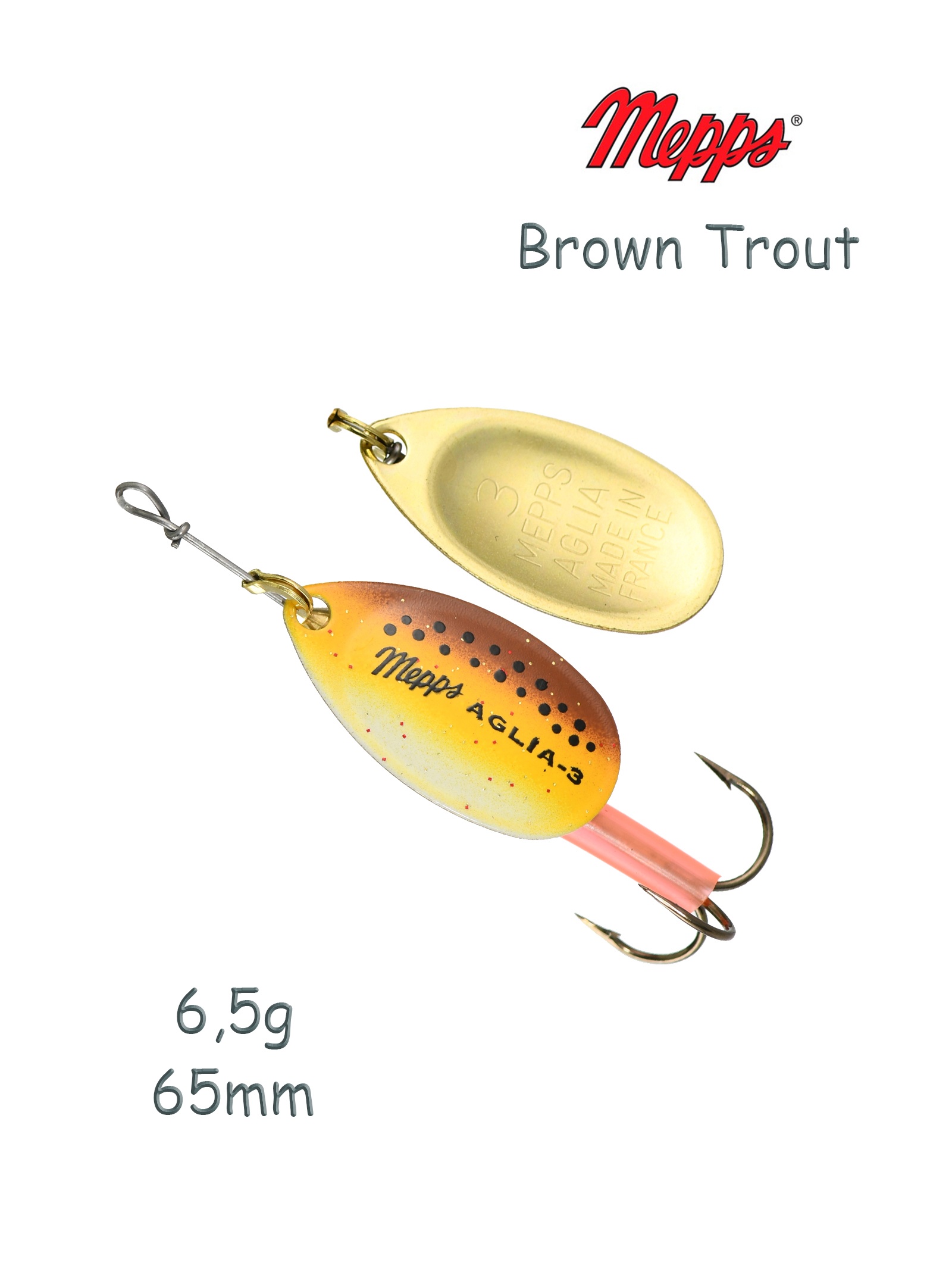 Aglia Brown Trout 3