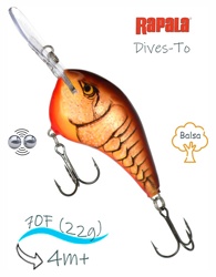 DT14 DCW Dives-To - фото