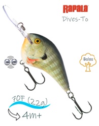 DT14 BG Dives-To - фото