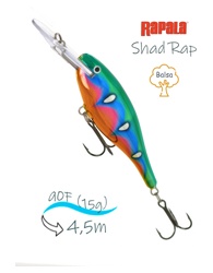 SR09 SPSH Shad Rap - фото