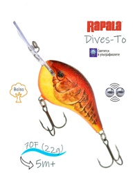 DT16 CSCW Dives-To - фото