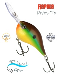 DT16 BRM Dives-To - фото