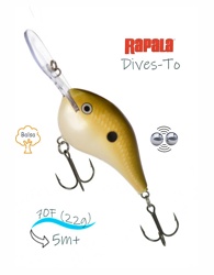 DT16 LSD Dives-To - фото