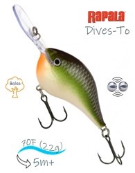 DT16 SMSH Dives-To - фото