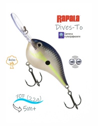 DT16 HSD Dives-To - фото