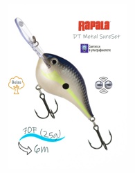 DTMSS20 HSD - фото