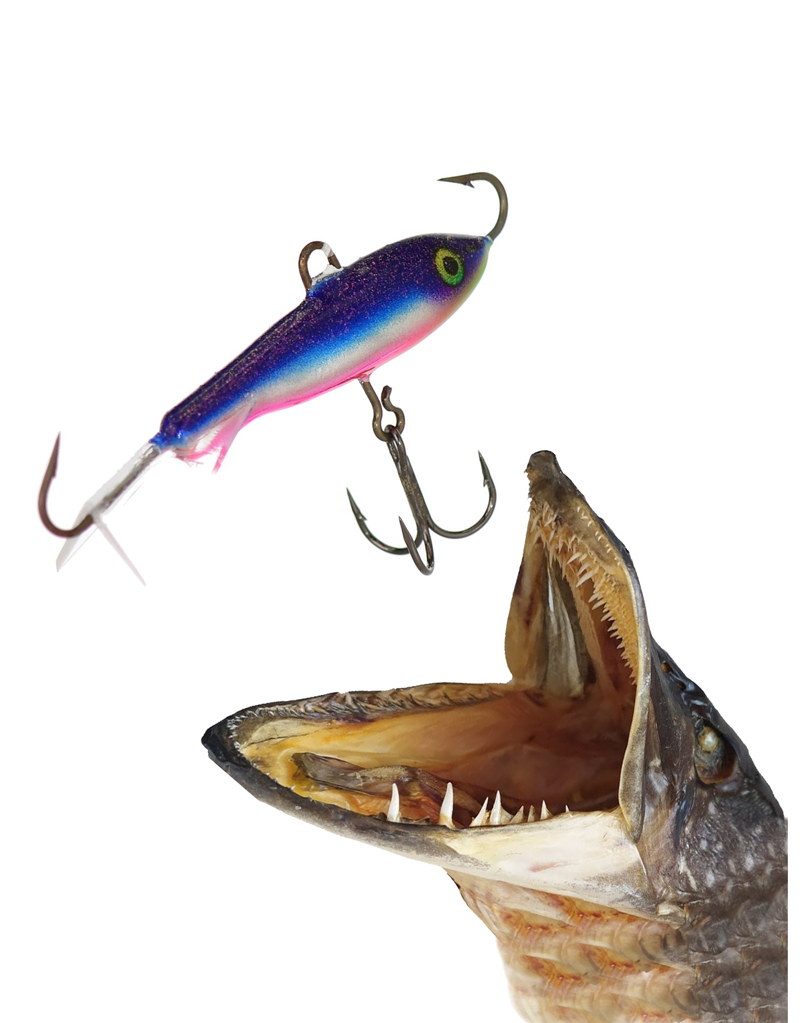 Jigging Rap W05 SKSD - фото2