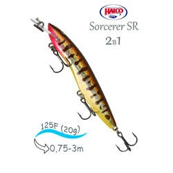 Sorcerer 125 SR-R31 - фото