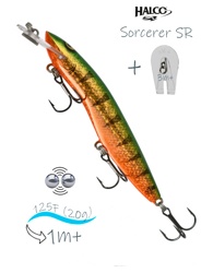 Sorcerer 125 SR-R26 - фото