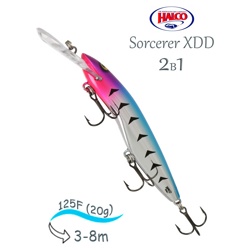Sorcerer 125 XDD-R19 - фото