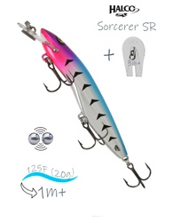 Sorcerer 125 SR-R19 - фото